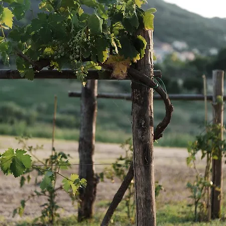 Relais Casale Valigi * Нарни